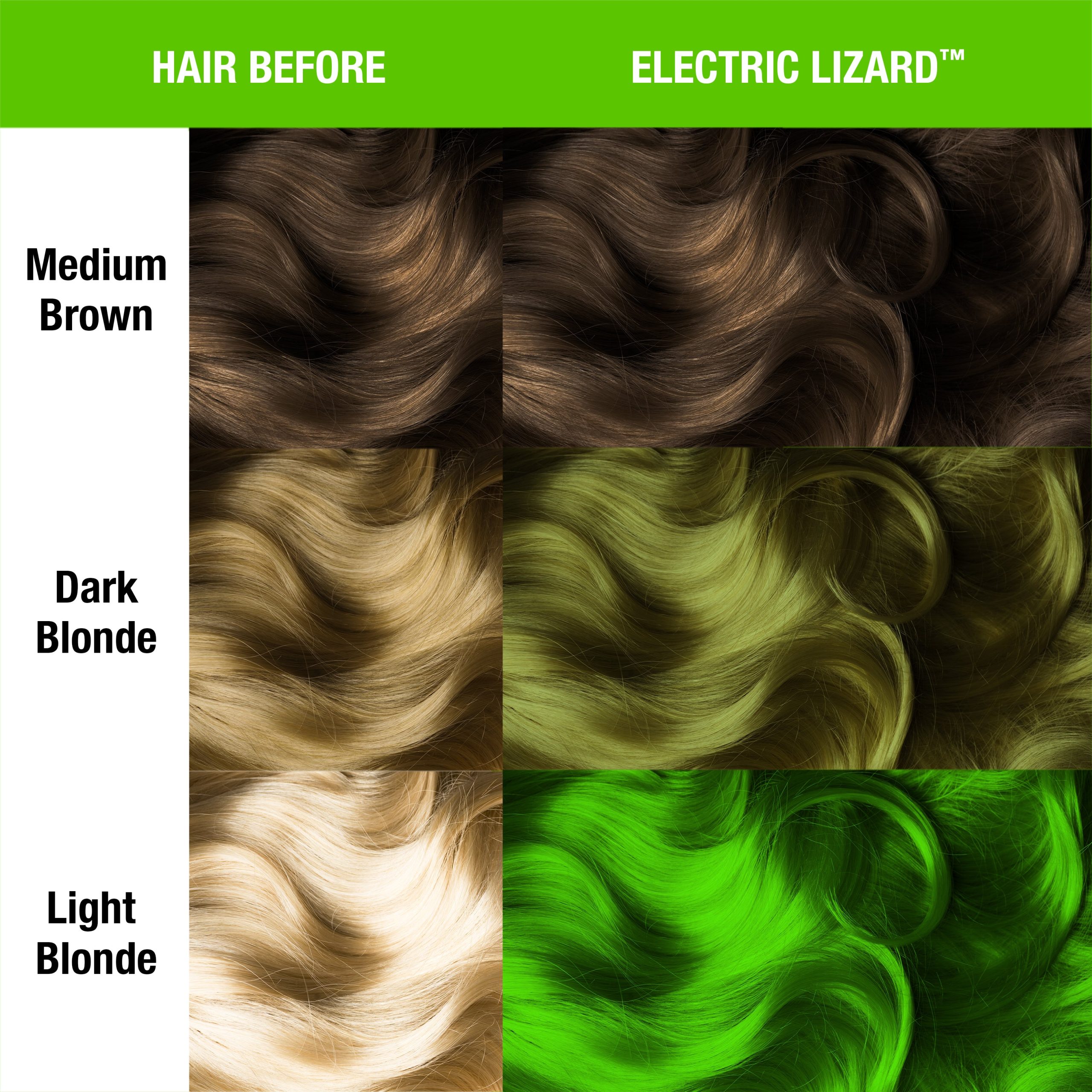 Electric Lizard® - Classic High Voltage™ - Image 2