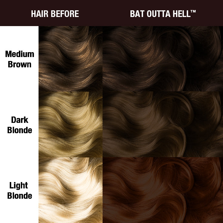 Bat Outta Hell® - Supernaturals - Amplified™ - Image 2