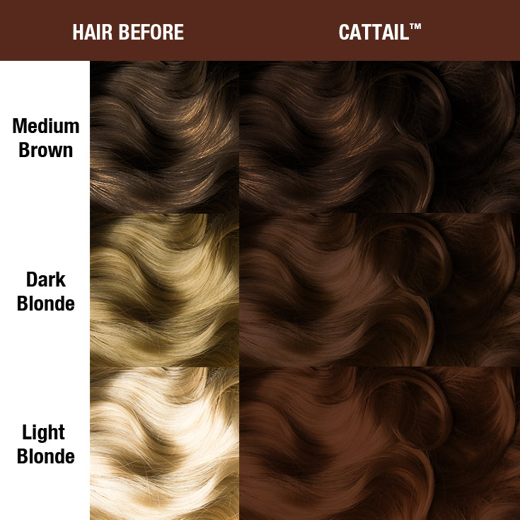 Cattail® - Supernaturals - Amplified™ - Image 2