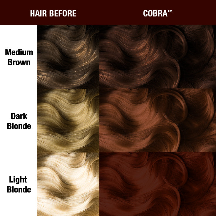 Cobra™ - Supernaturals - Amplified™ - Image 2