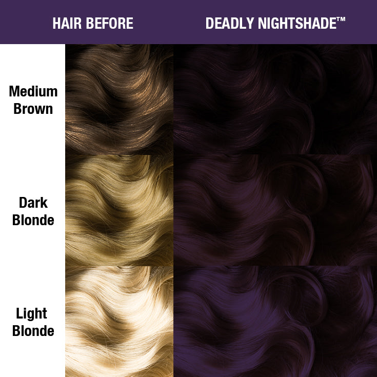 Deadly Nightshade® - Classic High Voltage® - Image 2