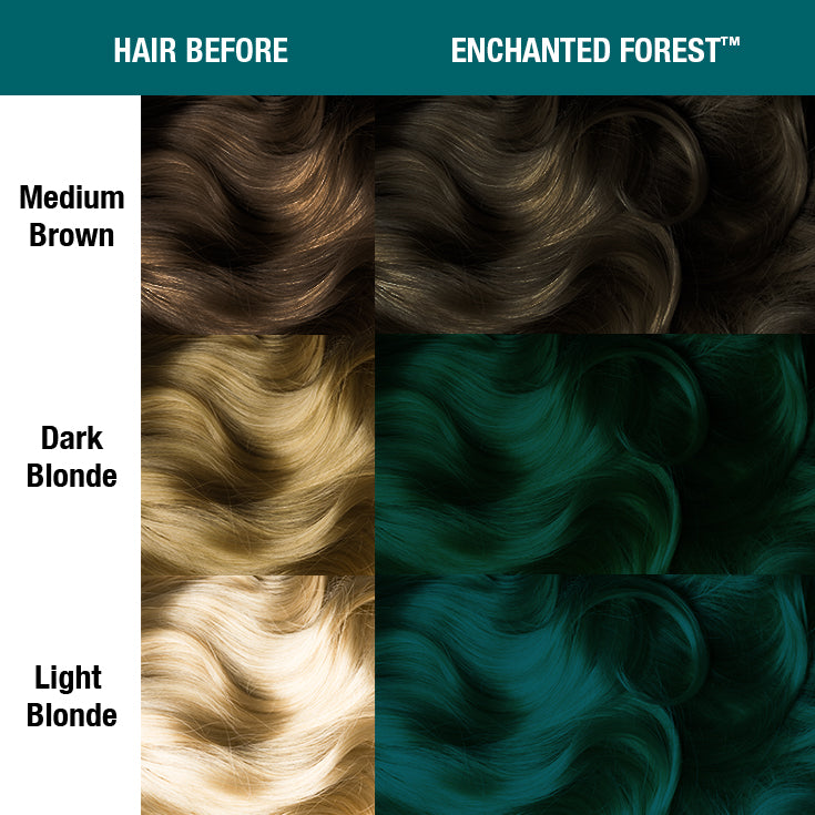 Enchanted Forest® - Classic High Voltage® - Image 2